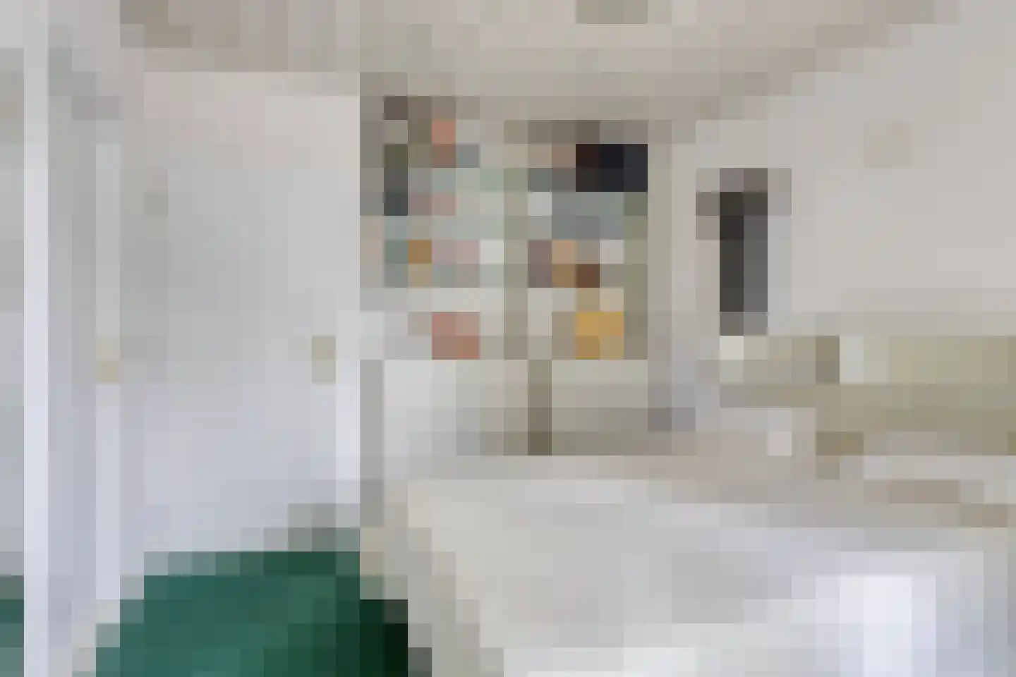 Eikenlaan 21 Nuenen thumbnail 32