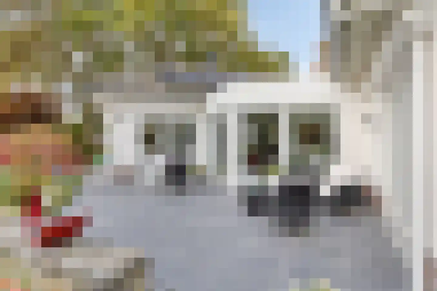 Eikenlaan 21 Nuenen thumbnail 36