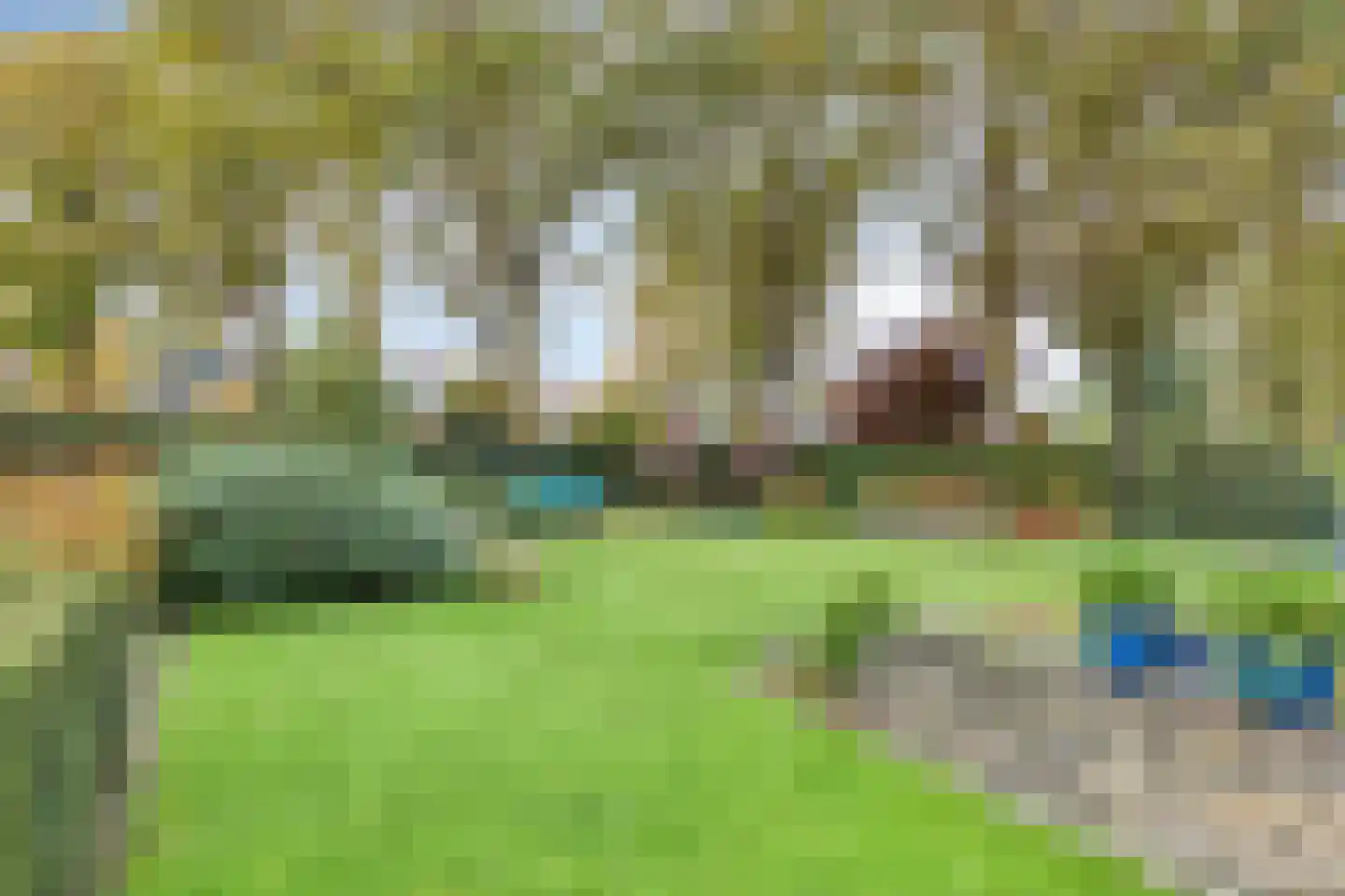 Eikenlaan 21 Nuenen thumbnail 45