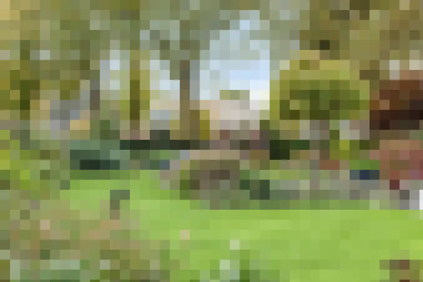 Eikenlaan 21 Nuenen thumbnail 47