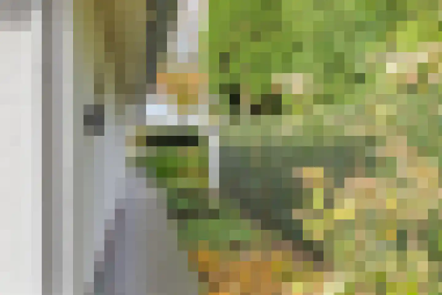 Eikenlaan 21 Nuenen thumbnail 49