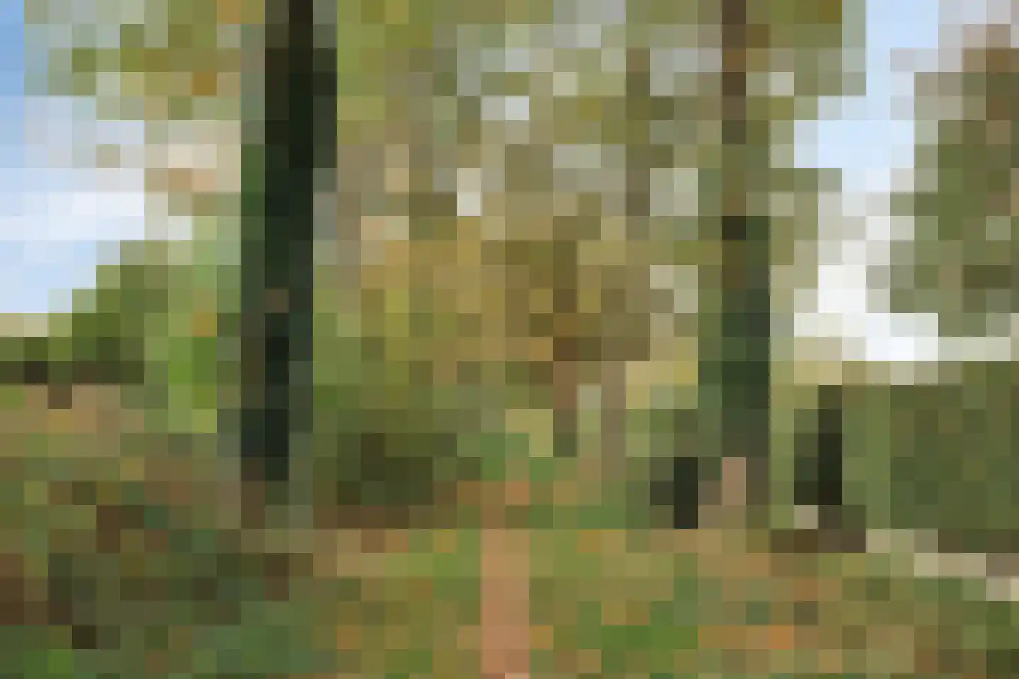 Eikenlaan 21 Nuenen thumbnail 58