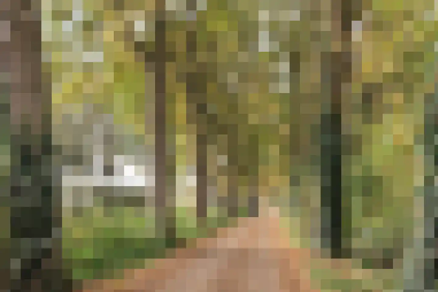 Eikenlaan 21 Nuenen thumbnail 59