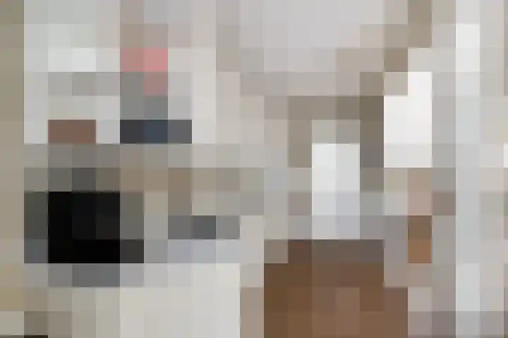 Eikenlaan 21 Renswoude thumbnail 13