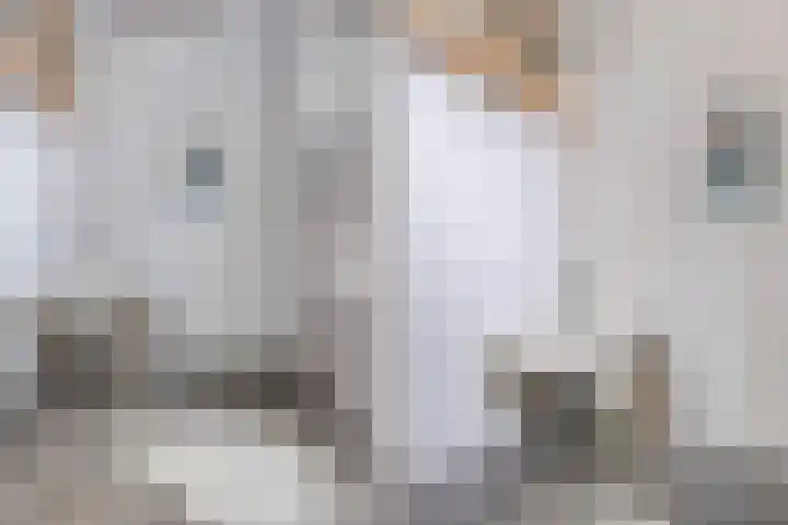 Eikenlaan 21 Renswoude thumbnail 17