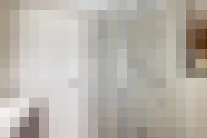 Eikenlaan 21 Renswoude thumbnail 22