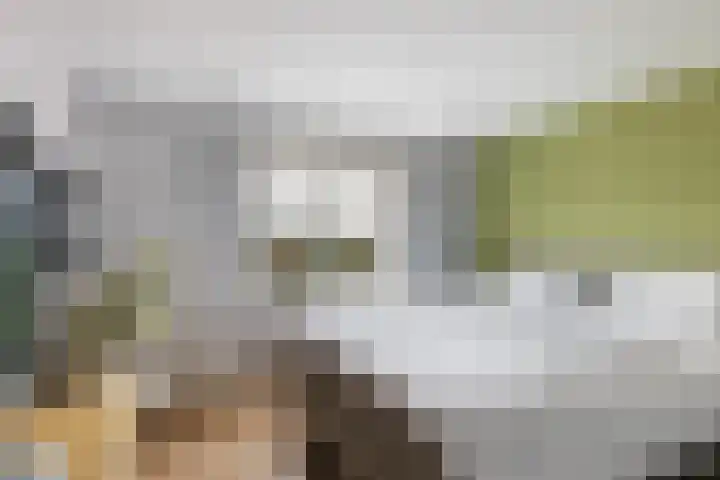 Eikenlaan 21 Renswoude thumbnail 24