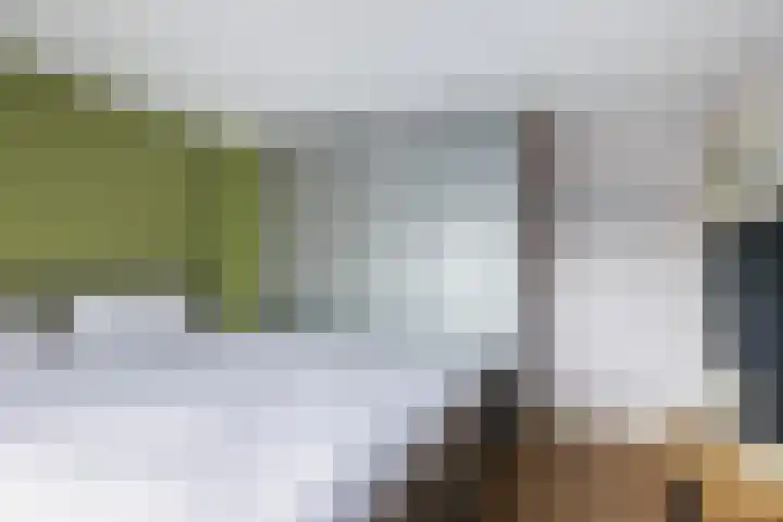Eikenlaan 21 Renswoude thumbnail 25