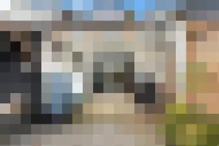 Eikenlaan 21 Renswoude thumbnail 41