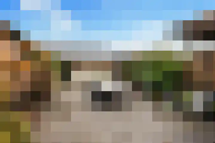 Eikenlaan 21 Renswoude thumbnail 44