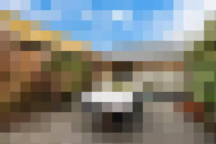 Eikenlaan 21 Renswoude thumbnail 45