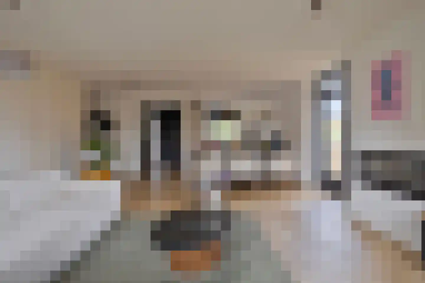 Eikenlaan 21 Voorschoten thumbnail 10