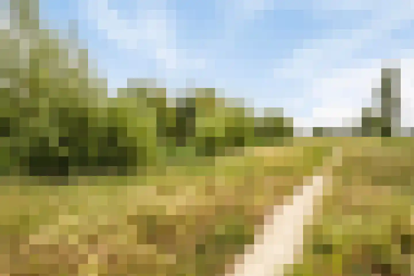 Eikenlaan 21 Voorschoten thumbnail 37