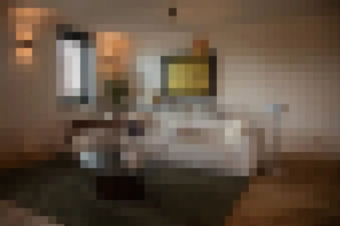 Eikenlaan 21 Voorschoten thumbnail 61
