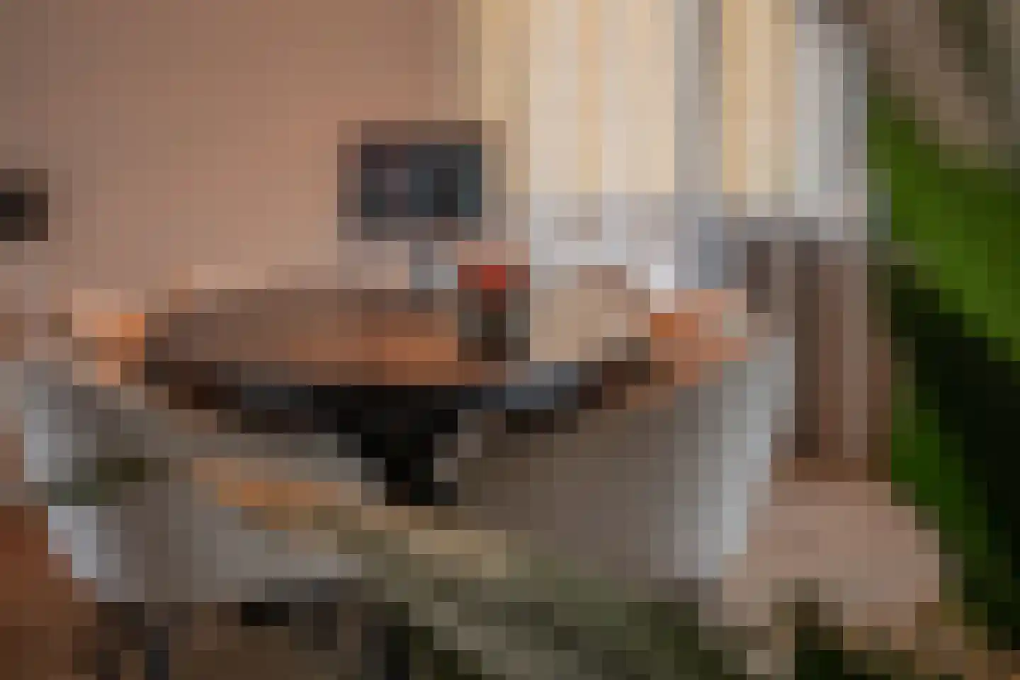 Eikenlaan 21 Voorschoten thumbnail 71