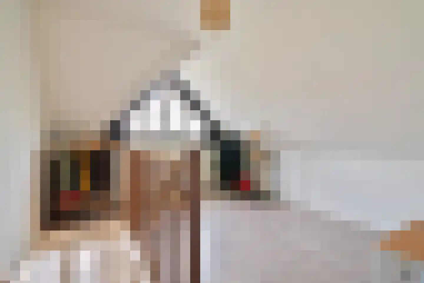 Eikenlaan 22 Dronten thumbnail 18