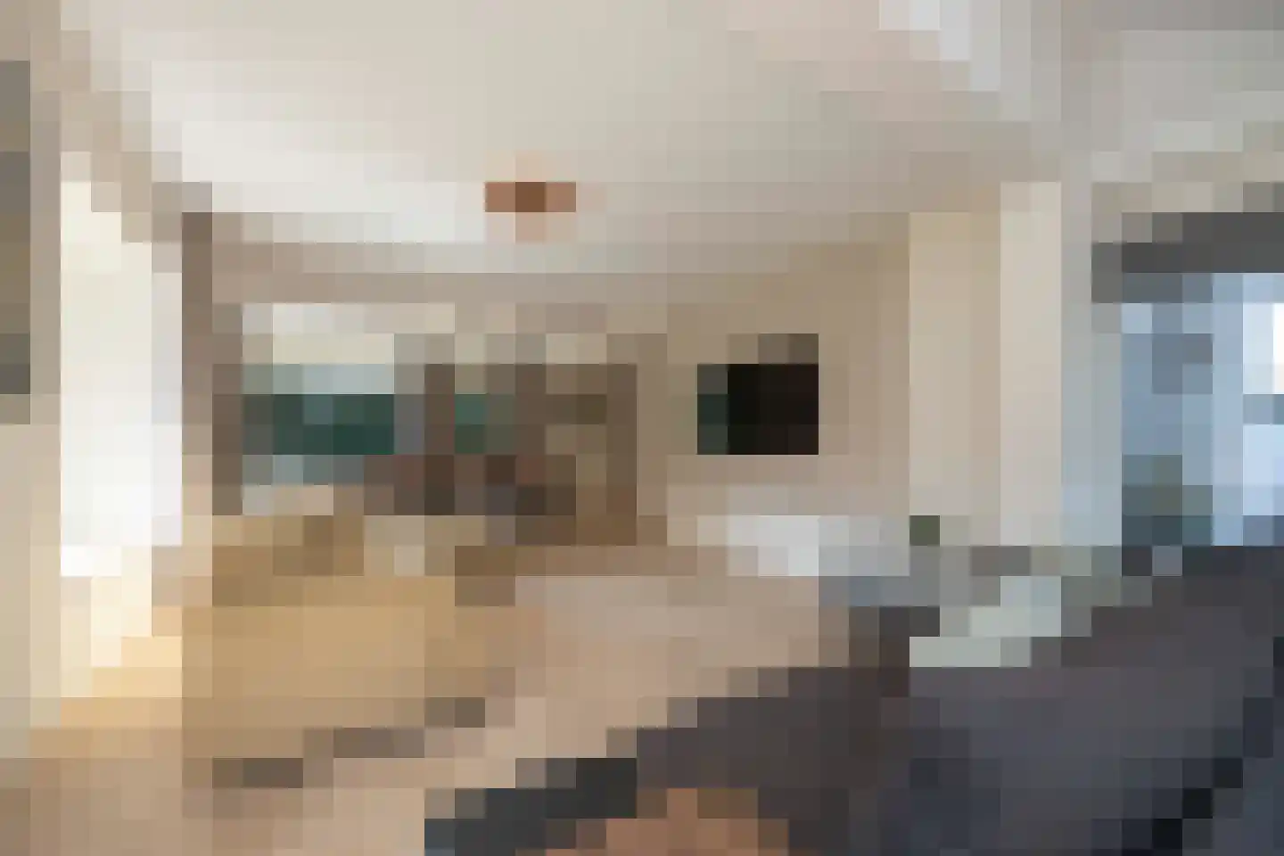 Eikenlaan 22 Vught thumbnail 12