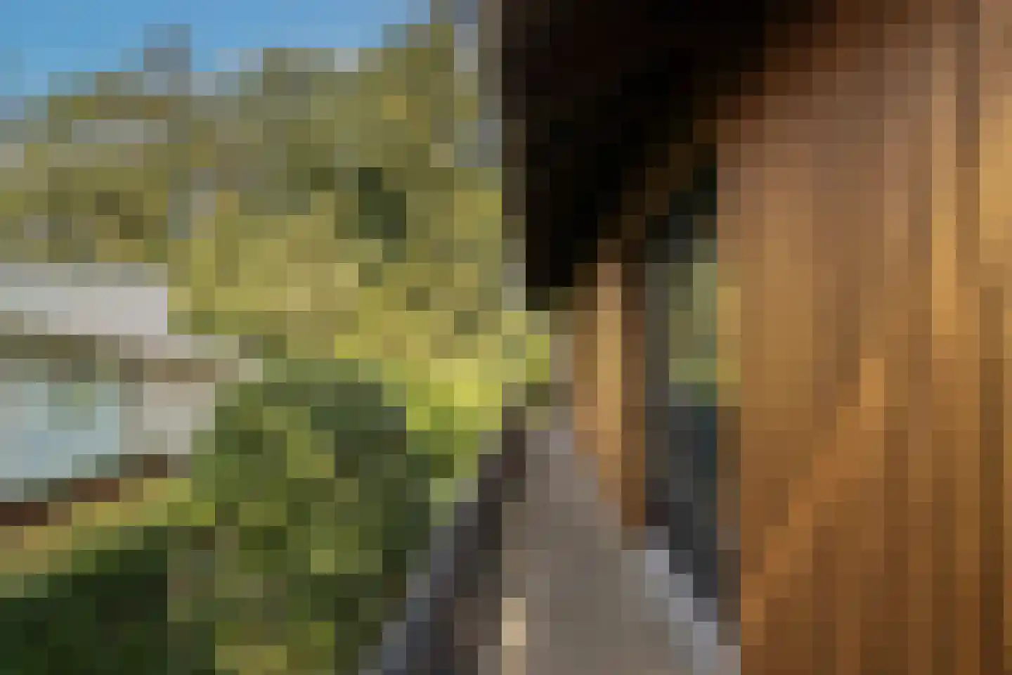 Eikenlaan 22 Vught thumbnail 29