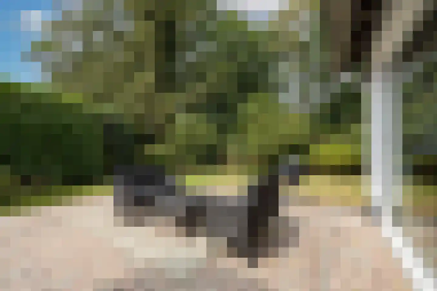 Eikenlaan 22 Vught thumbnail 46