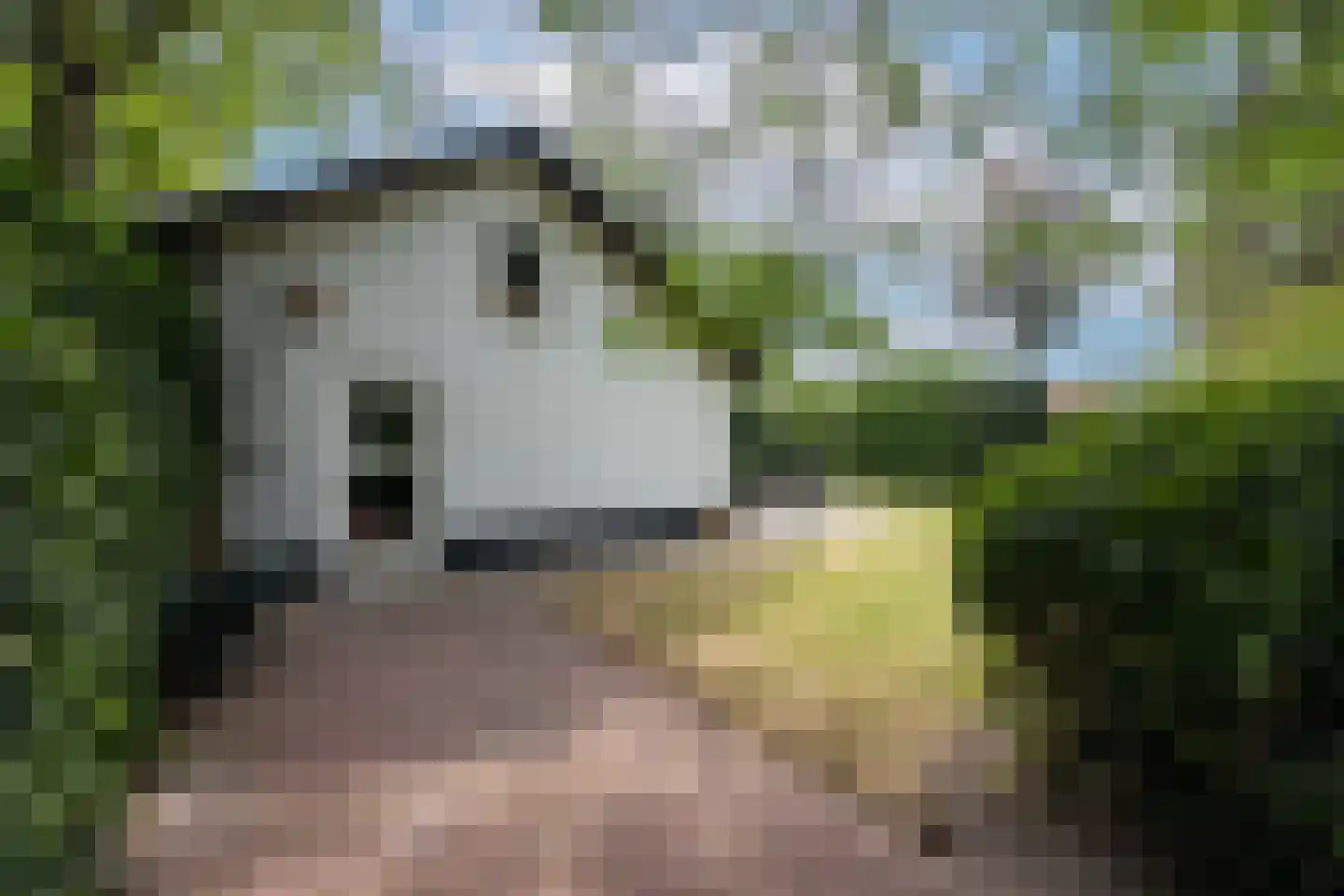 Eikenlaan 22 Vught thumbnail 47
