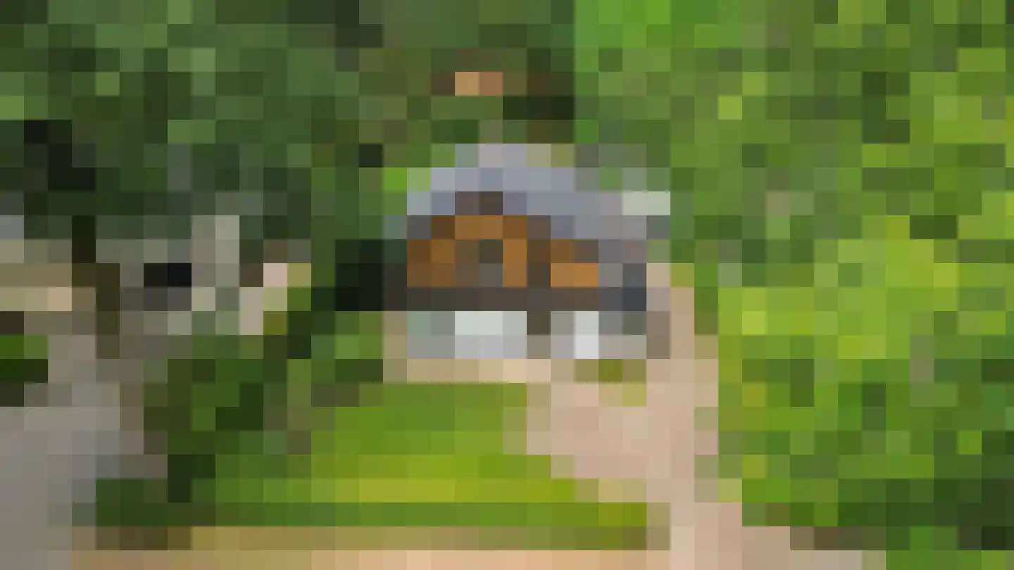 Eikenlaan 22 Vught thumbnail 49
