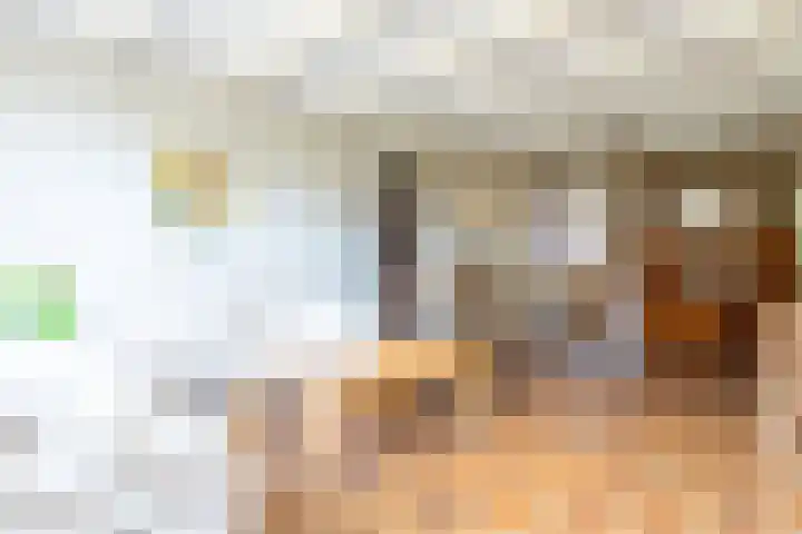 Eikenlaan 23 Lisse thumbnail 18
