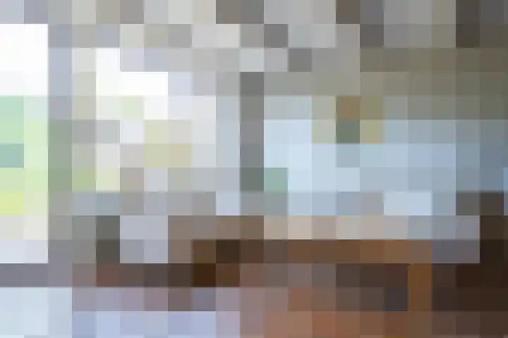 Eikenlaan 23 Lisse thumbnail 20