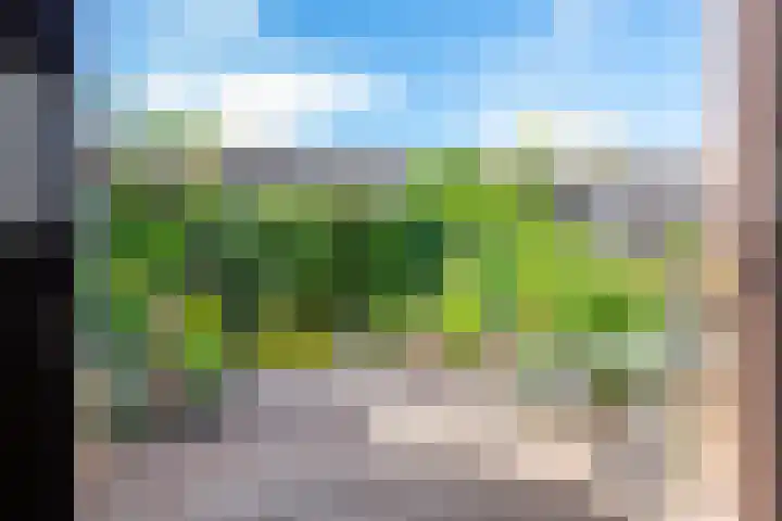 Eikenlaan 23 Lisse thumbnail 21