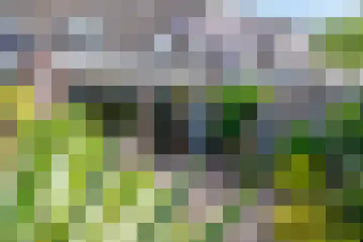 Eikenlaan 23 Lisse thumbnail 22