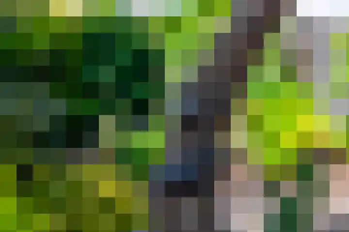 Eikenlaan 23 Lisse thumbnail 23