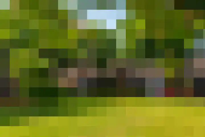Eikenlaan 23 Lisse thumbnail 37