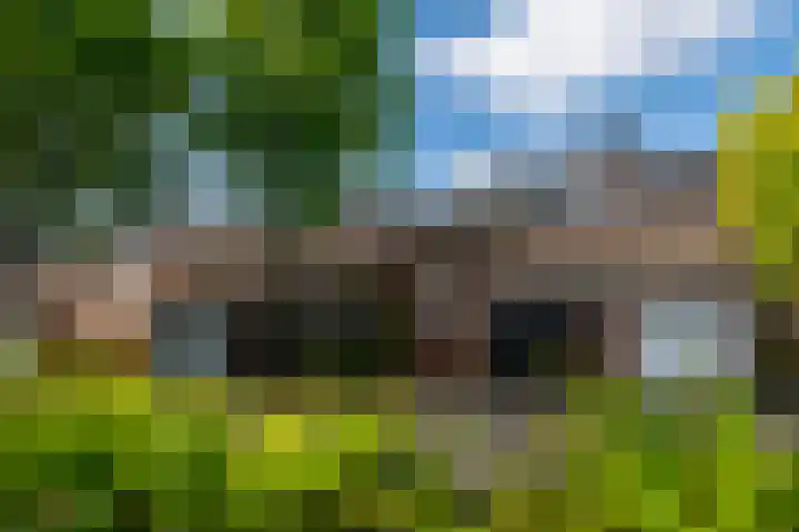 Eikenlaan 23 Lisse thumbnail 4