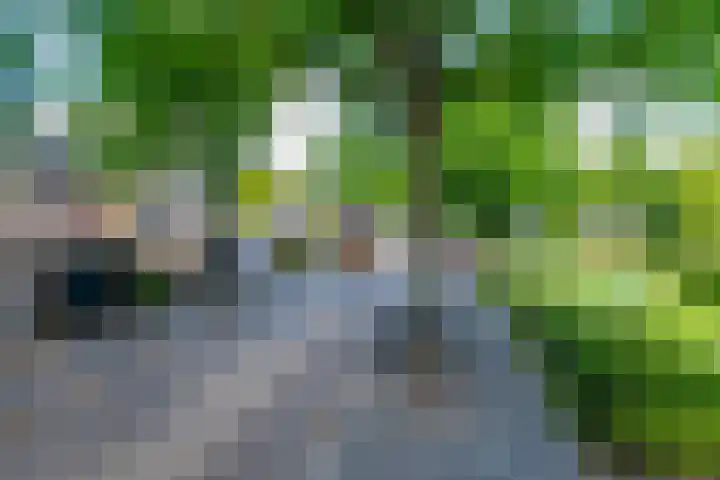 Eikenlaan 23 Lisse thumbnail 5