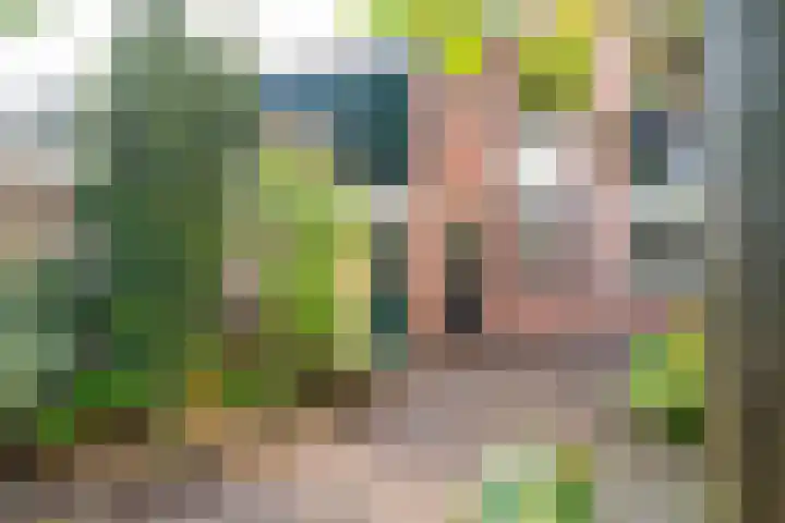 Eikenlaan 23 Lisse thumbnail 7