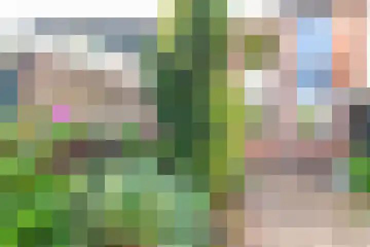 Eikenlaan 23 Lisse thumbnail 8