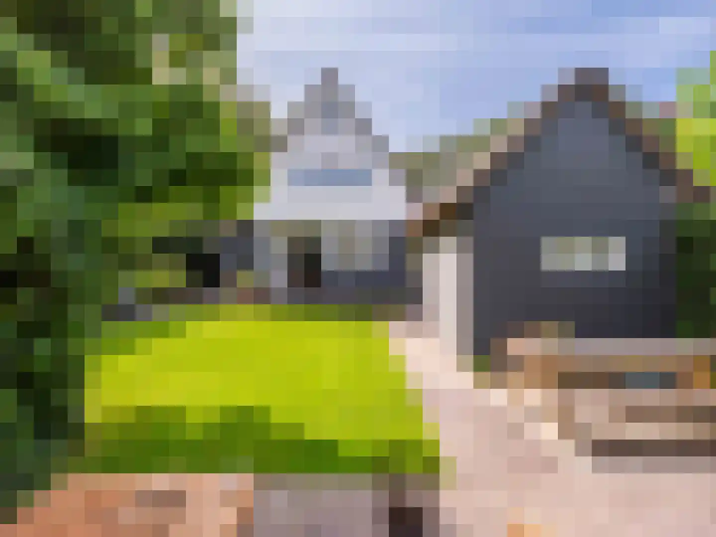 Eikenlaan 24 Bergen (NH) thumbnail 39