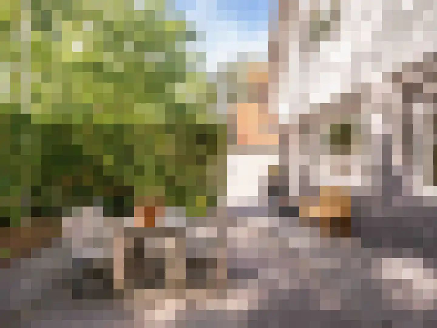 Eikenlaan 24 Bergen (NH) thumbnail 47