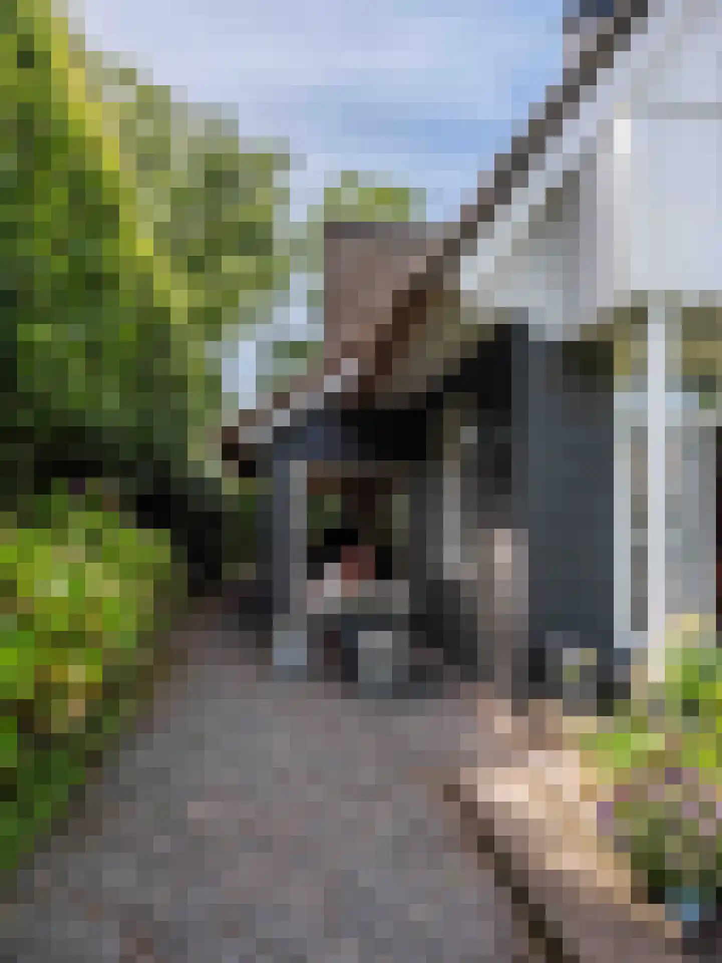 Eikenlaan 24 Bergen (NH) thumbnail 50