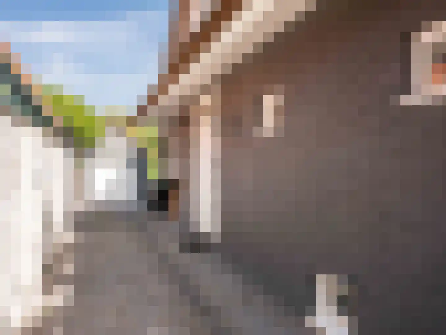 Eikenlaan 24 Bergen (NH) thumbnail 51