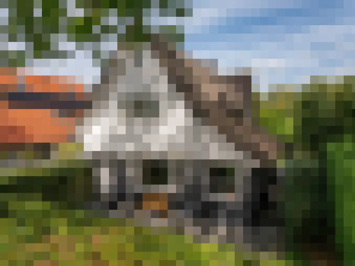 Eikenlaan 24 Bergen (NH) thumbnail 54
