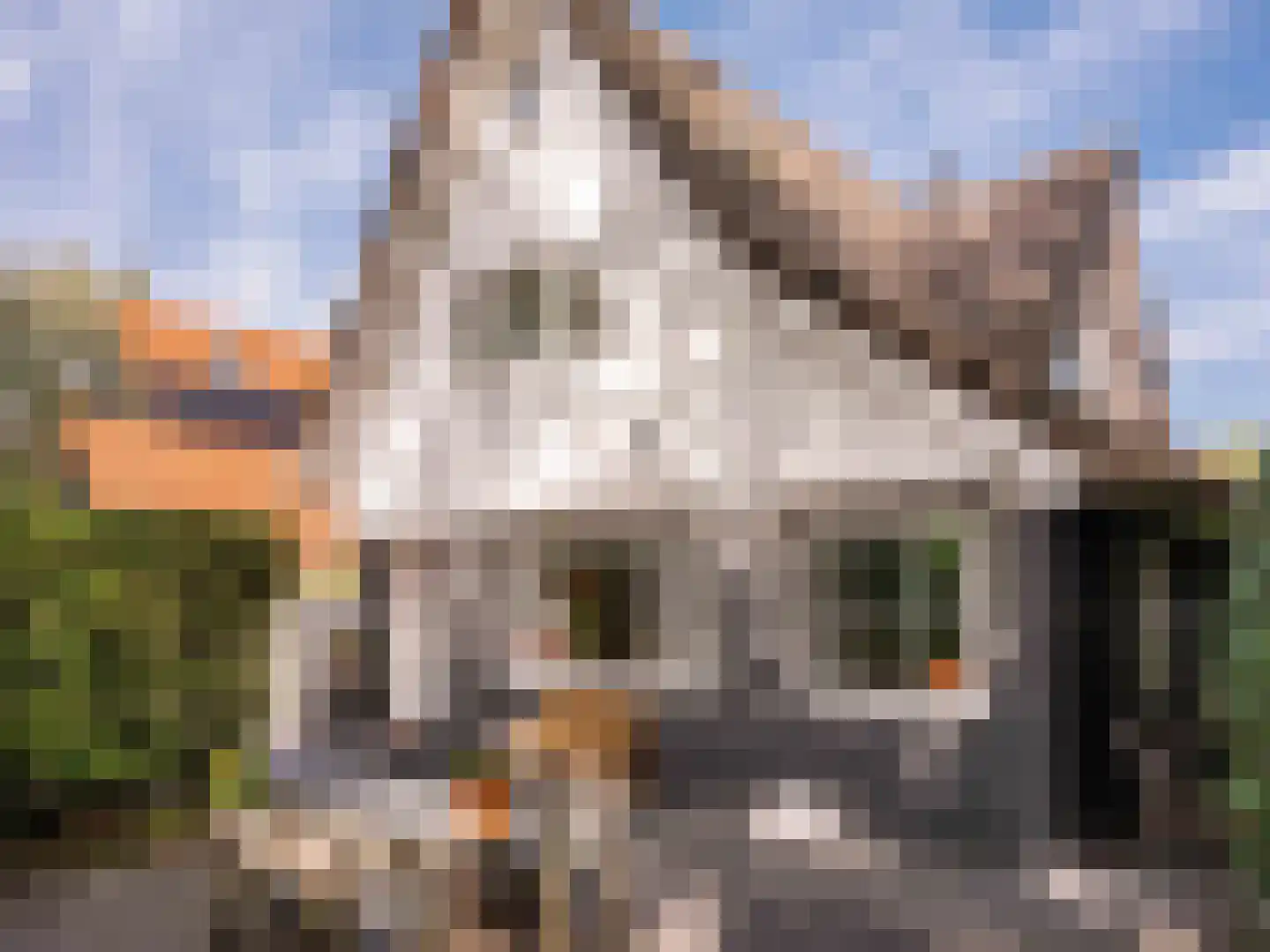 Eikenlaan 24 Bergen (NH) thumbnail 6