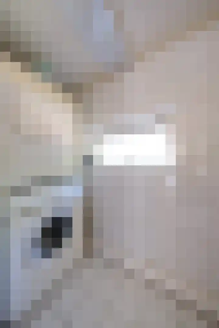 Eikenlaan 24 Ede thumbnail 14