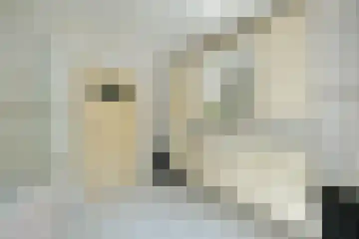 Eikenlaan 24 Ede thumbnail 16