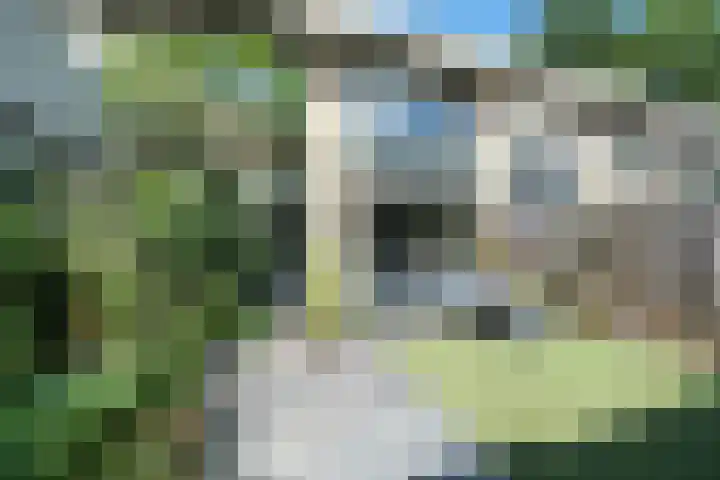 Eikenlaan 24 Ede thumbnail 17