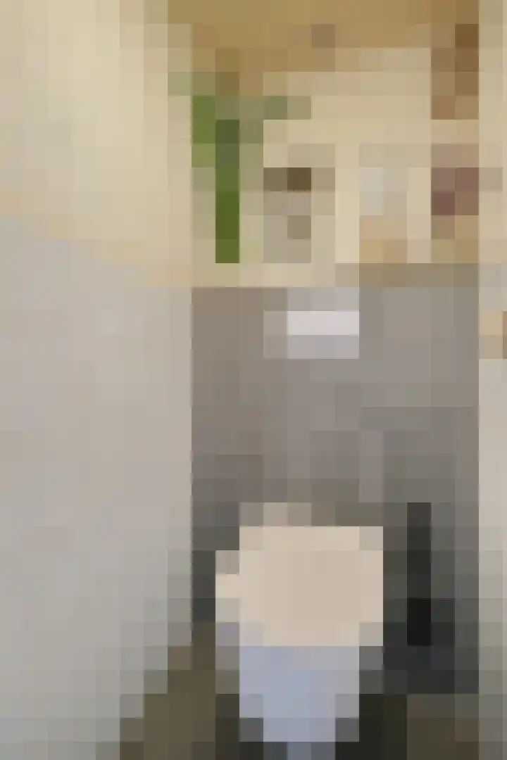 Eikenlaan 24 Ede thumbnail 9