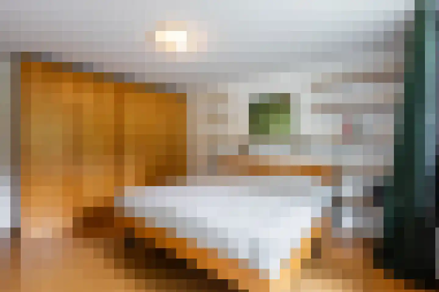 Eikenlaan 24 Waalre thumbnail 20