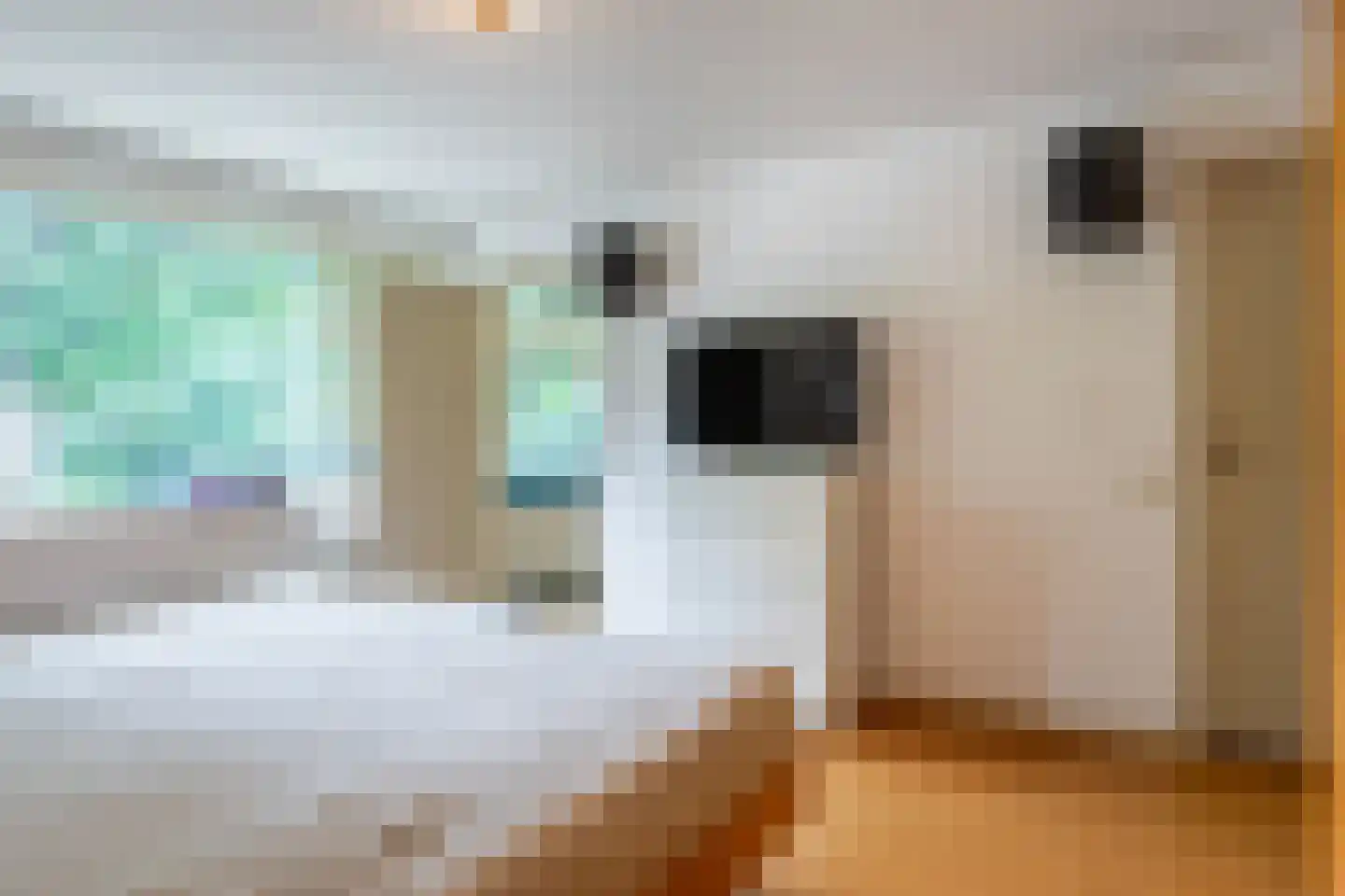 Eikenlaan 24 Waalre thumbnail 21
