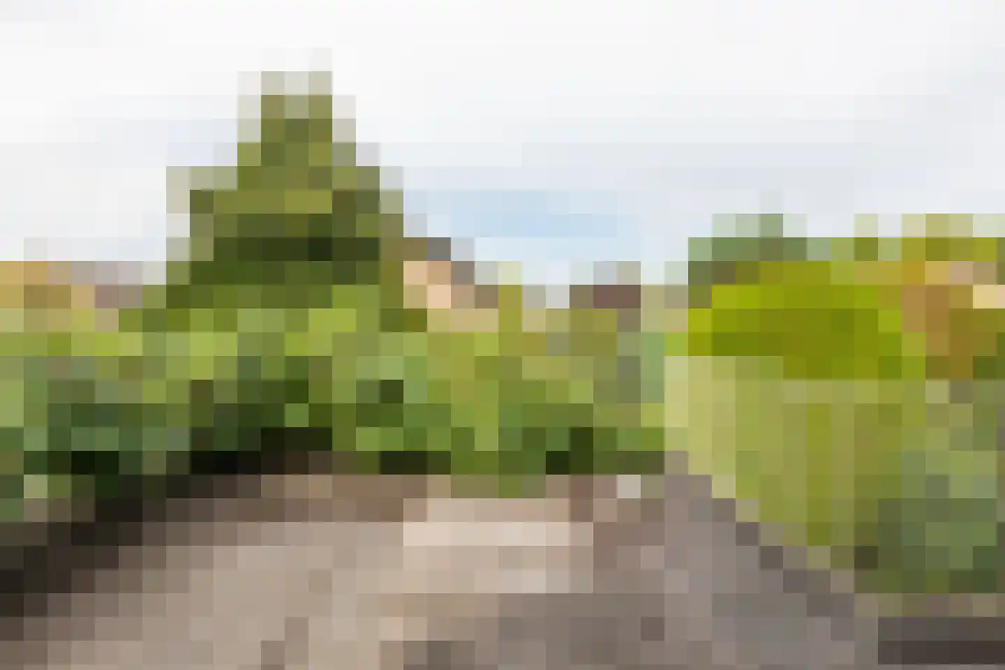Eikenlaan 24 Waalre thumbnail 31