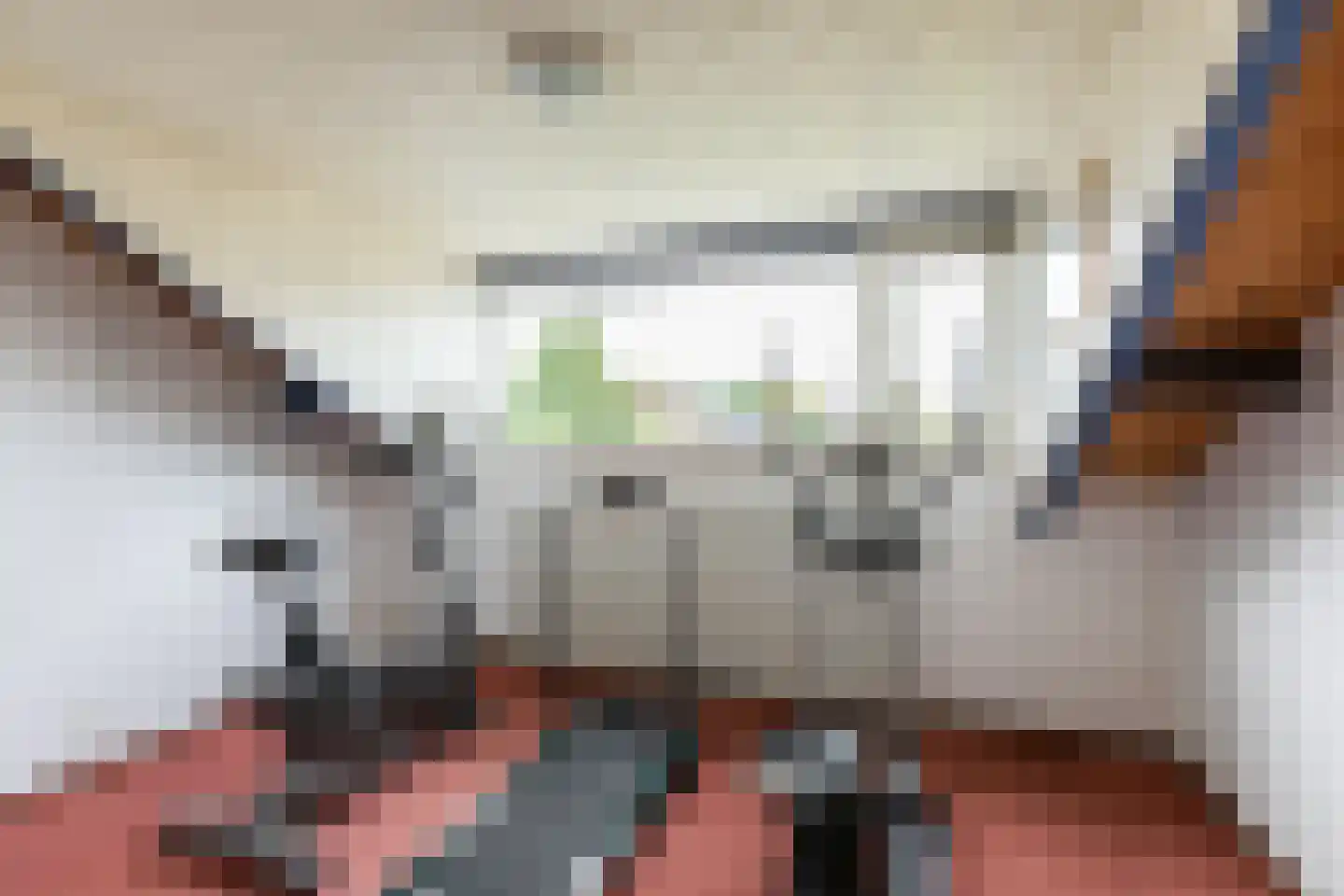 Eikenlaan 24 Waalre thumbnail 37