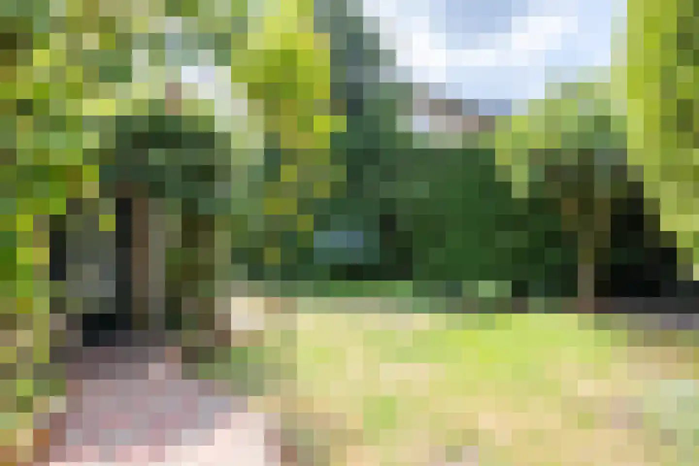 Eikenlaan 24 Waalre thumbnail 41
